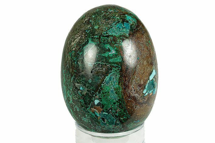 Polished Chrysocolla & Malachite Egg - Peru #255283